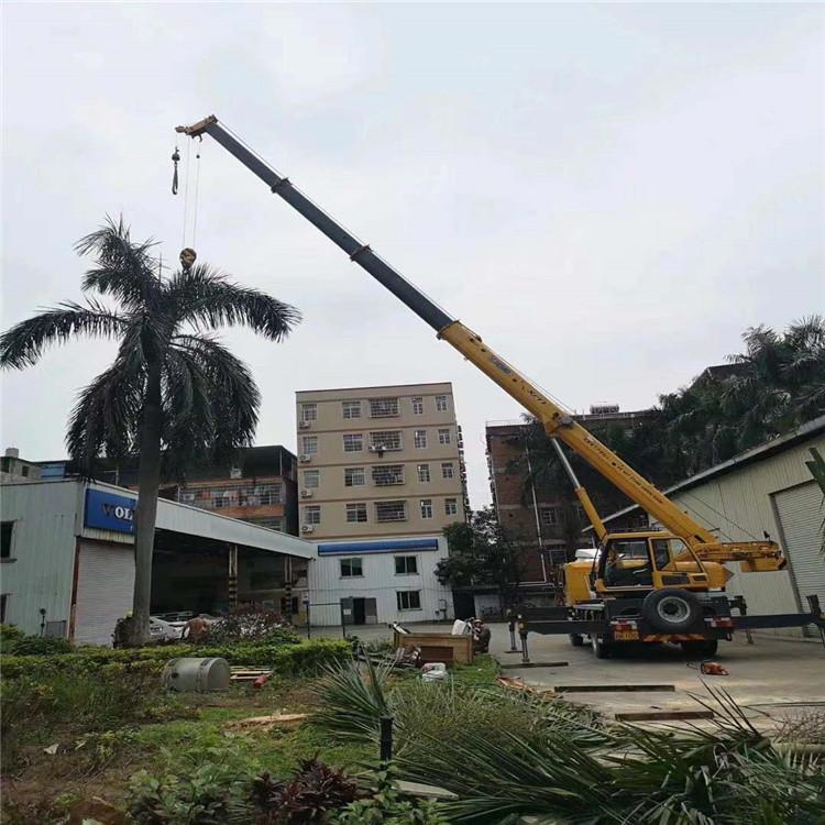 中原汽车吊出租多少钱？全面解析与市场行情